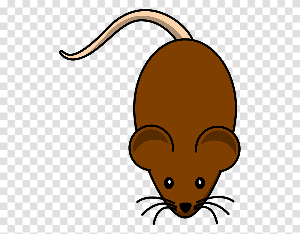 Rodent Free Vector Graphic Cartoon Mouse Background, Animal, Wasp, Bee, Insect Transparent Png