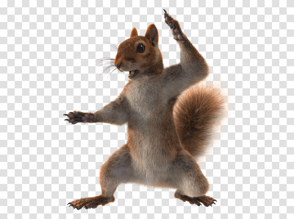 Rodent Sandy Cheeks Out Of Water, Squirrel, Mammal, Animal, Cat Transparent Png