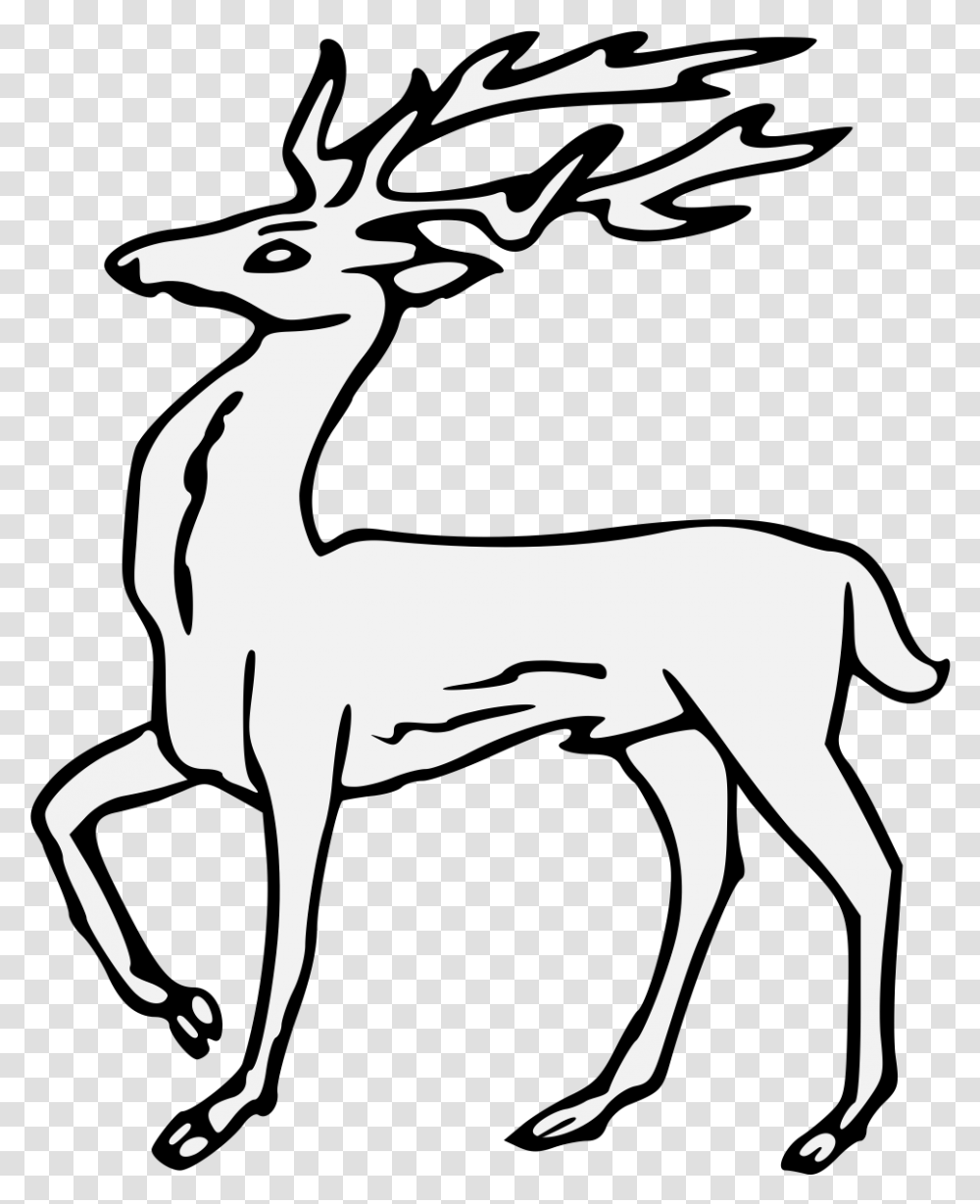 Roe Deer, Antelope, Wildlife, Mammal, Animal Transparent Png
