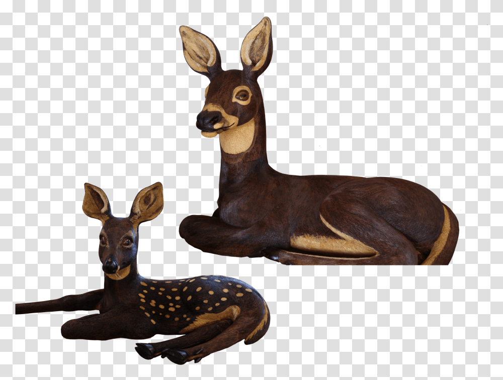 Roe Deer, Antelope, Wildlife, Mammal, Animal Transparent Png