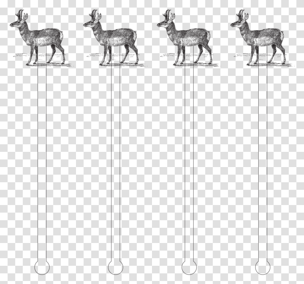 Roe Deer, Bow, Animal, Mammal, Utility Pole Transparent Png