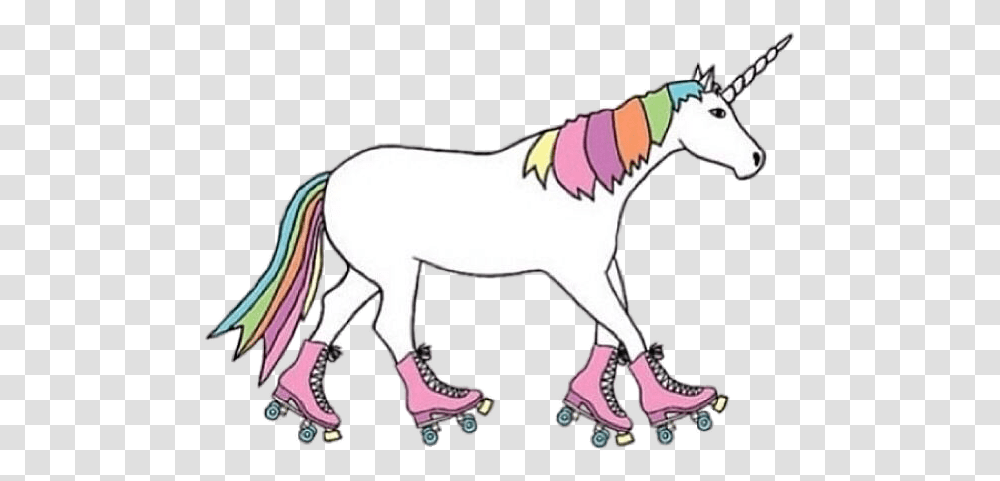 Roller Unicorn Unicorn On Roller Skates, Horse, Mammal, Animal, Colt Horse Transparent Png