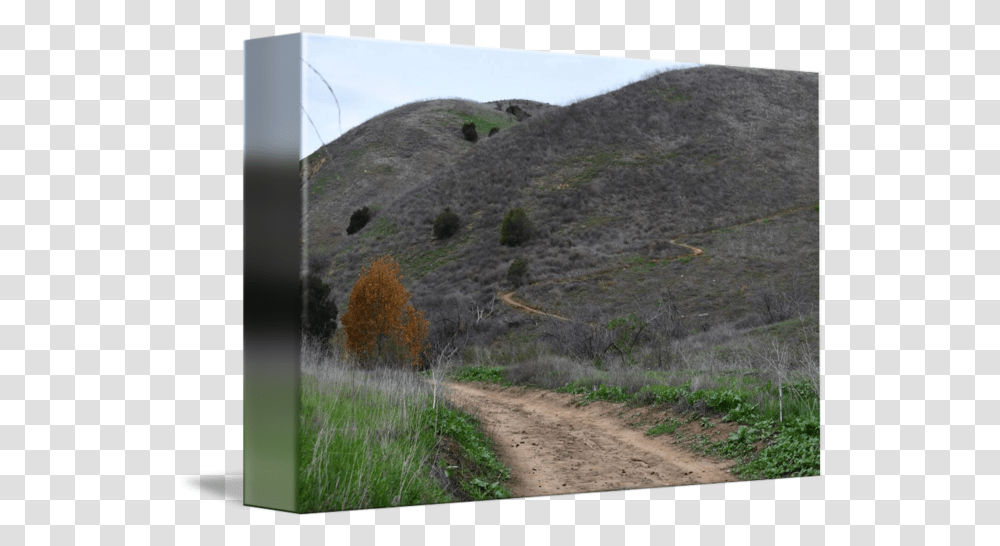 Rolling Hills Green Grass And Trees In Shrubland, Slope, Nature, Outdoors, Path Transparent Png