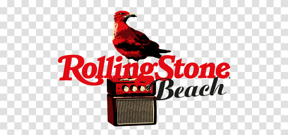 Rolling Stone Beach Rolling Stone, Bird, Animal, Symbol, Logo Transparent Png