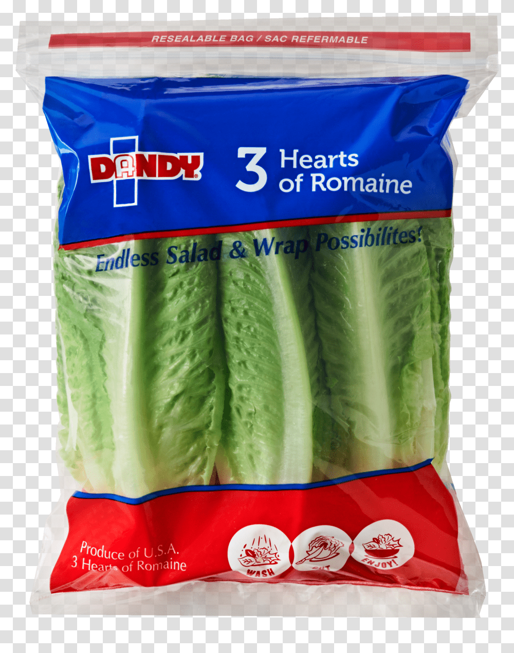 Romaine Hearts Lettuce Transparent Png