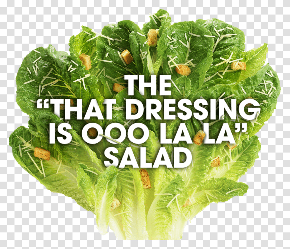 Romaine Lettuce, Plant, Vegetable, Food, Kale Transparent Png