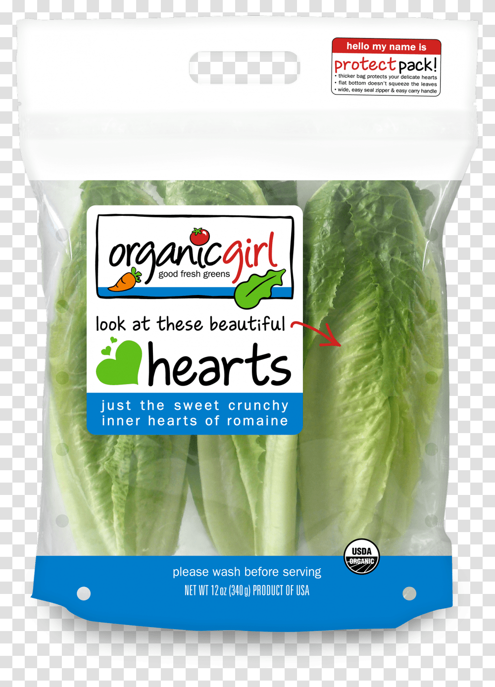 Romaine Lettuce, Plant, Vegetable, Food Transparent Png