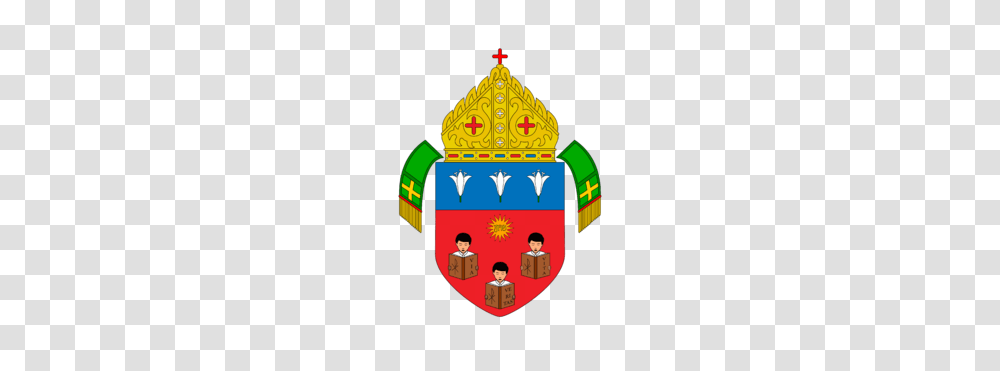 Roman Catholic Diocese Of Balanga, Person, Human, Armor, Legend Of Zelda Transparent Png
