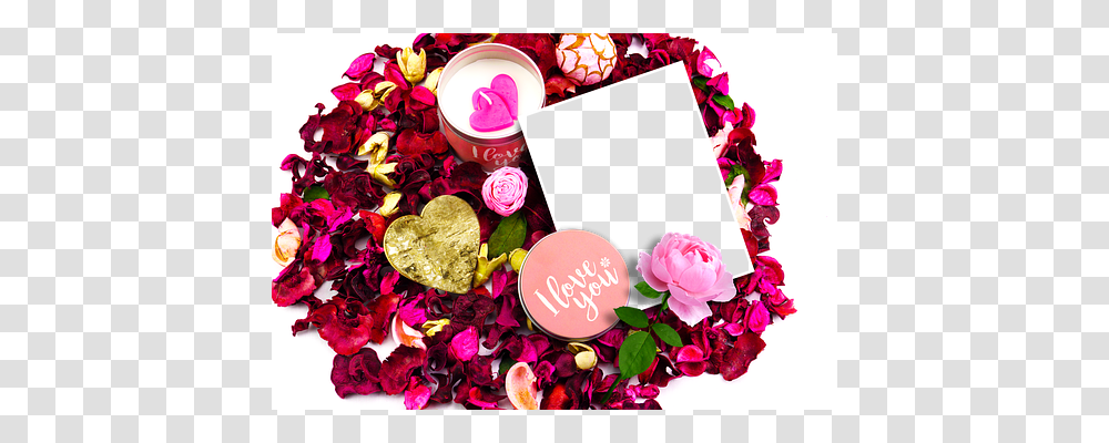 Romance Person, Plant, Label, Flower Transparent Png