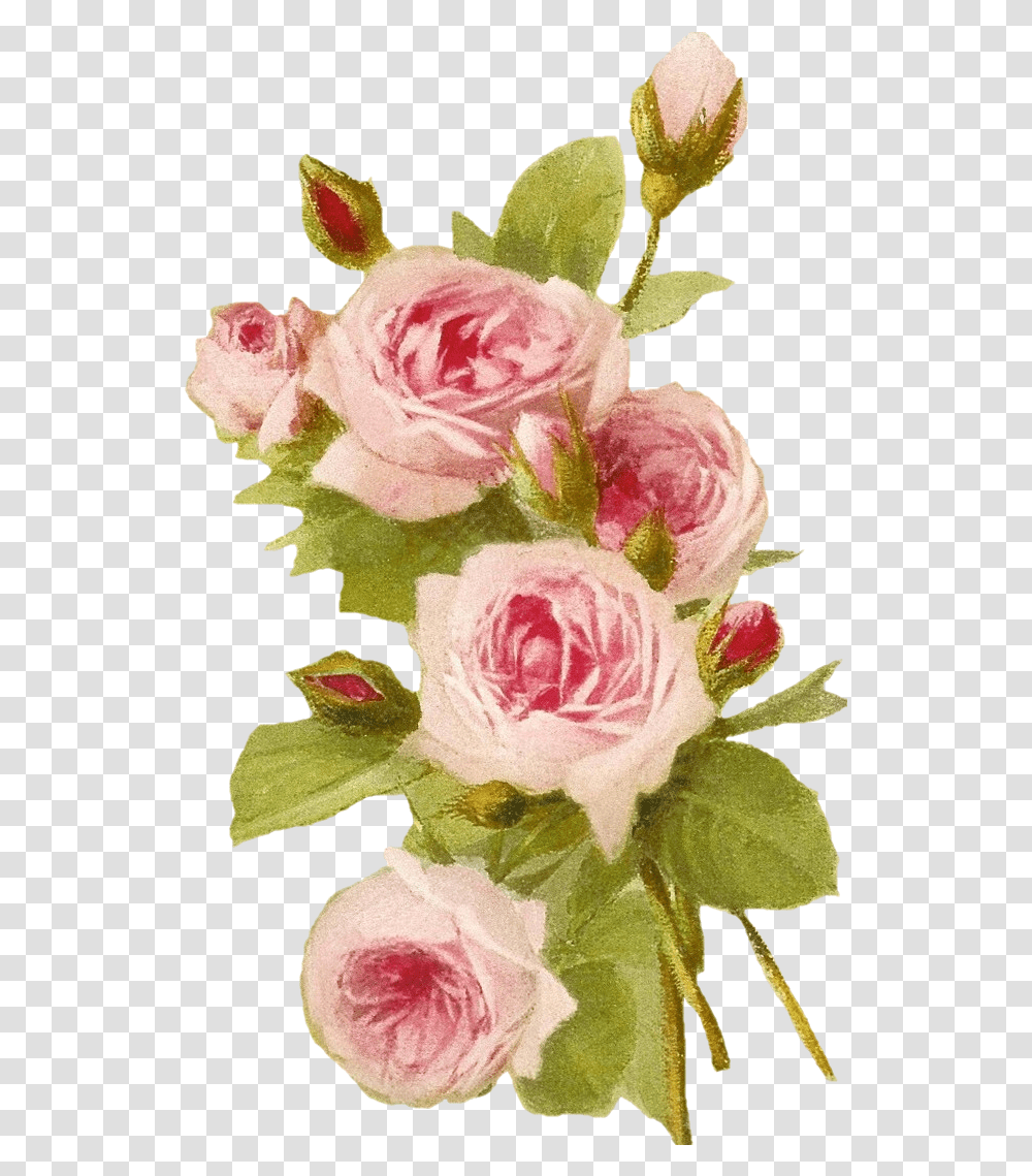 Romantic Pink Flower Border Happy Boss Day To An Ex Boss, Plant, Blossom, Rose, Flower Arrangement Transparent Png