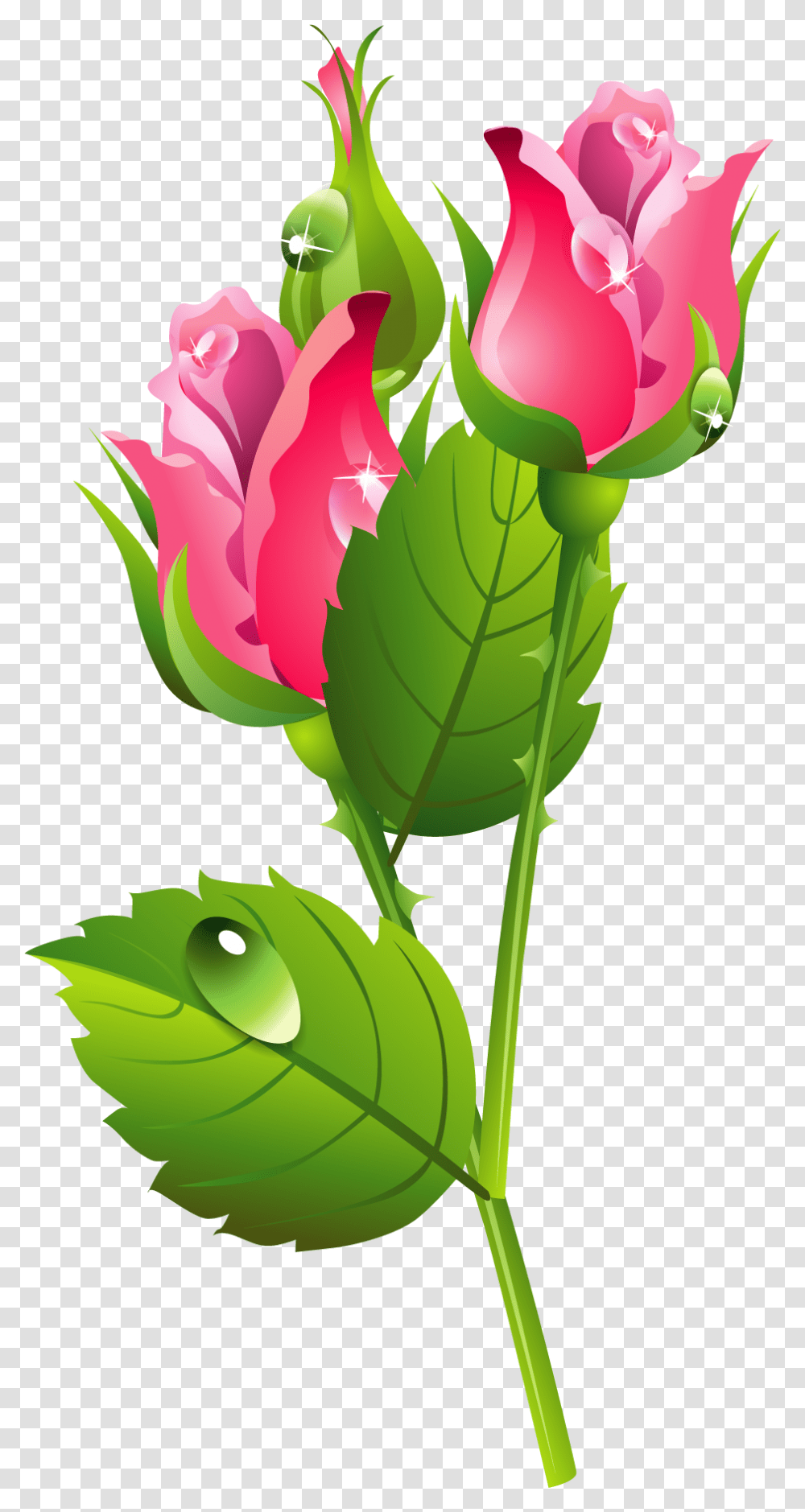Romantic Pink Flower Border Image Illustration, Plant, Rose, Blossom, Leaf Transparent Png