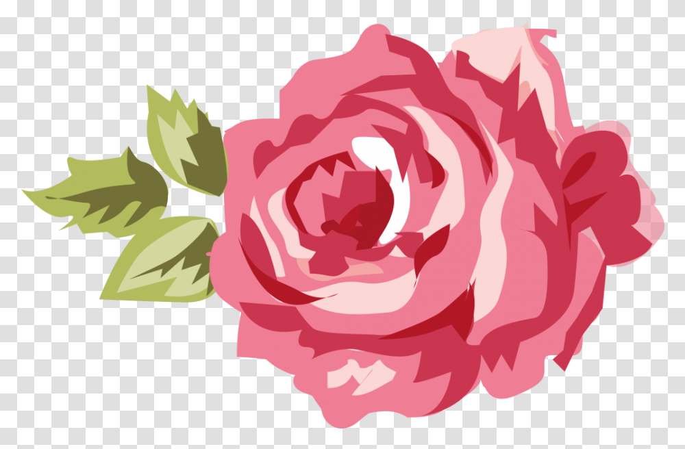 Romantic Pink Flower Border Picture Mart Shabby Chic Floral Clip Art, Plant, Blossom, Carnation, Rose Transparent Png