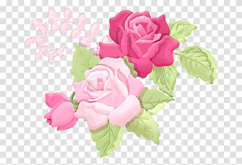 Romantic Pink Flower Border Picture White And Pink Flower Vector, Rose, Plant, Blossom, Graphics Transparent Png
