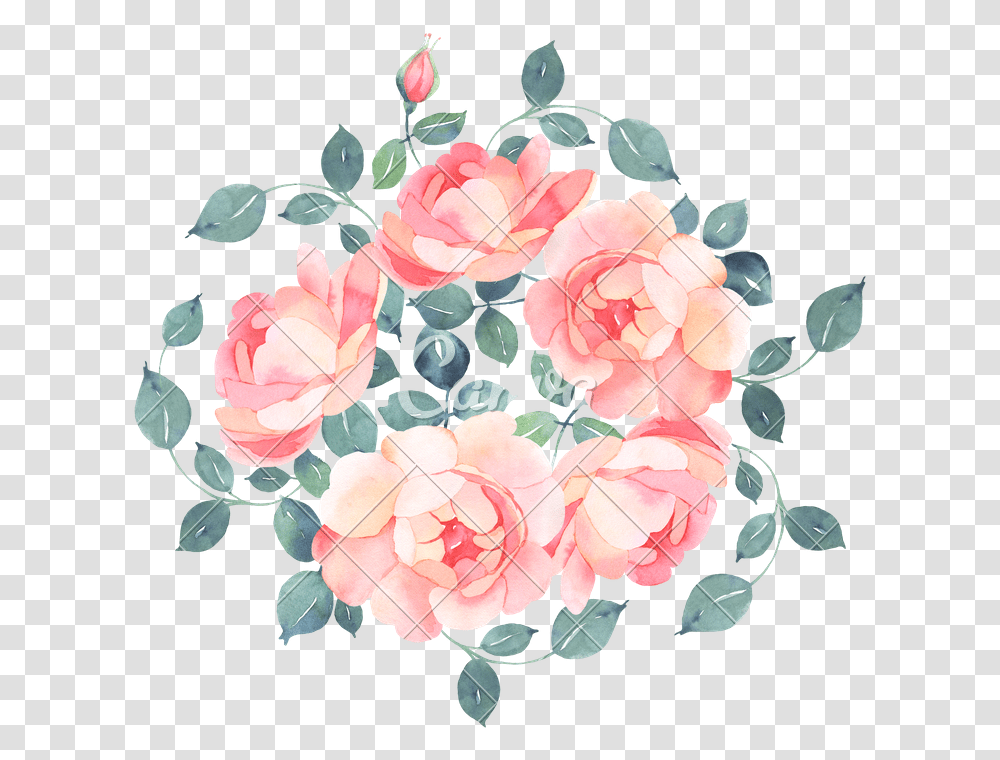 Romantic Roses Watercolour B, Plant, Flower, Blossom, Floral Design Transparent Png