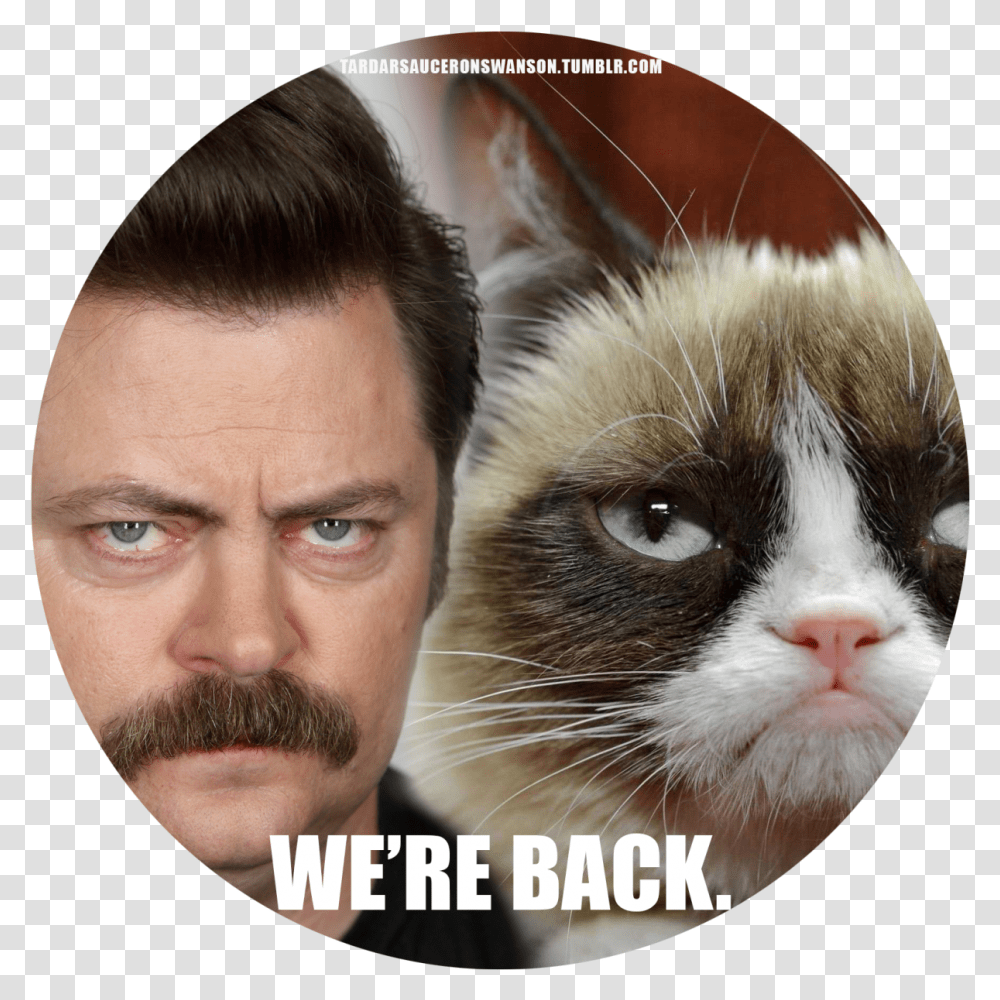 Ron Swanson Grumpy Cat Grumpy Cat The Movie Parks And Grumpy Cat Stupid Meme, Face, Person, Human, Mammal Transparent Png
