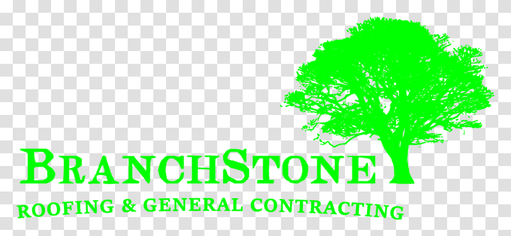 Roofing General Contractor Oak Tree Silhouette, Text, Graphics, Art, Logo Transparent Png