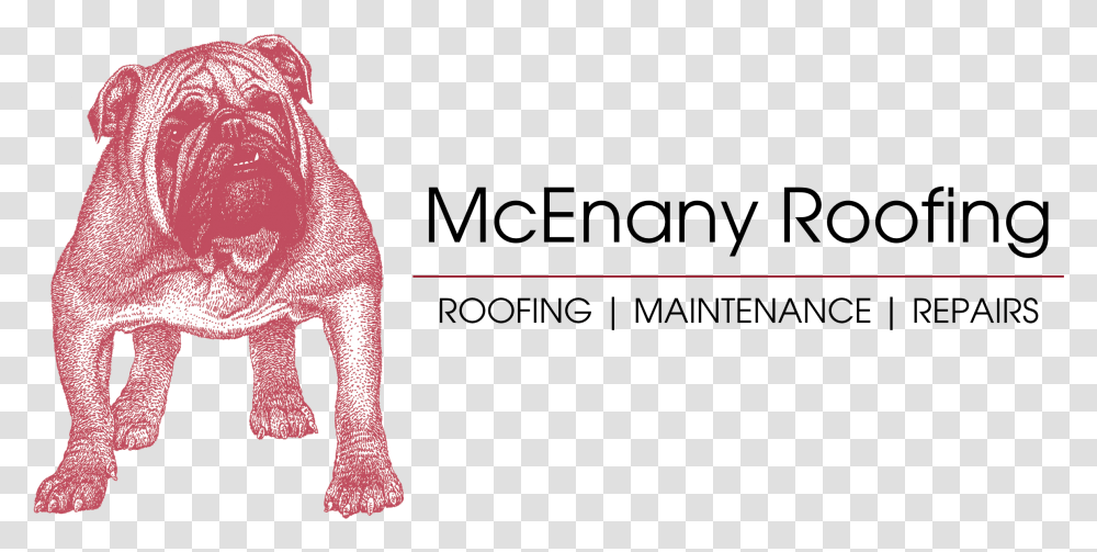 Rooftop Renascence Bulldogge, Clothing, Animal, Suit, Overcoat Transparent Png