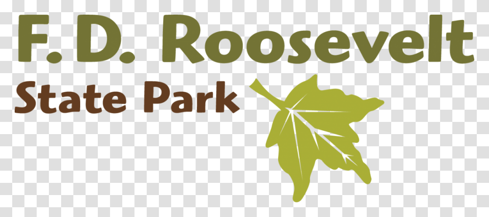 Roosevelt Logo Georgia State Parks, Leaf, Plant, Maple Leaf, Tree Transparent Png