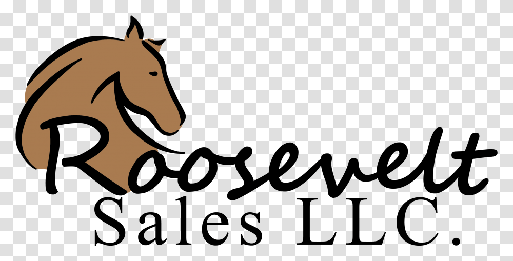Roosevelt Sales Llc Mane, Mammal, Animal, Wildlife, Horse Transparent Png