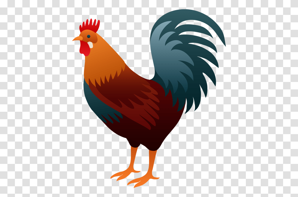 Rooster 1 Image Rooster Clipart, Animal, Bird, Fowl, Poultry Transparent Png