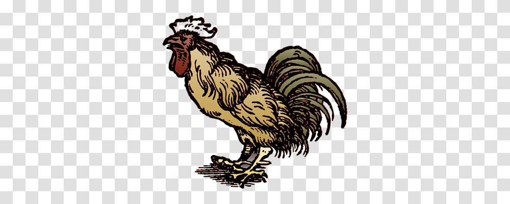 Rooster Animal, Poultry, Fowl, Bird Transparent Png