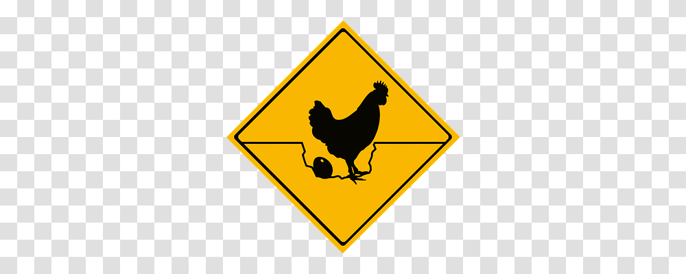 Rooster Technology, Bird, Animal Transparent Png