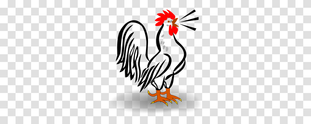 Rooster Music, Plant, Flower, Blossom Transparent Png