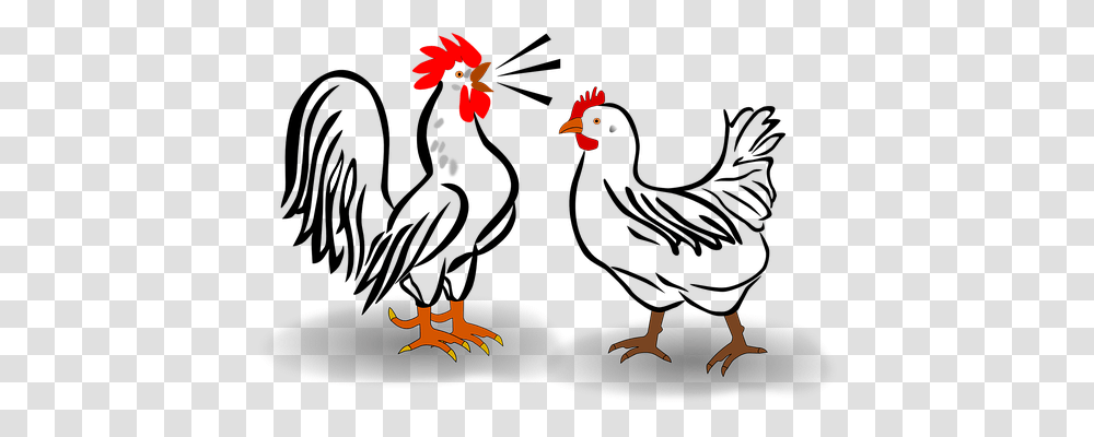 Rooster Animals, Bird, Flying Transparent Png