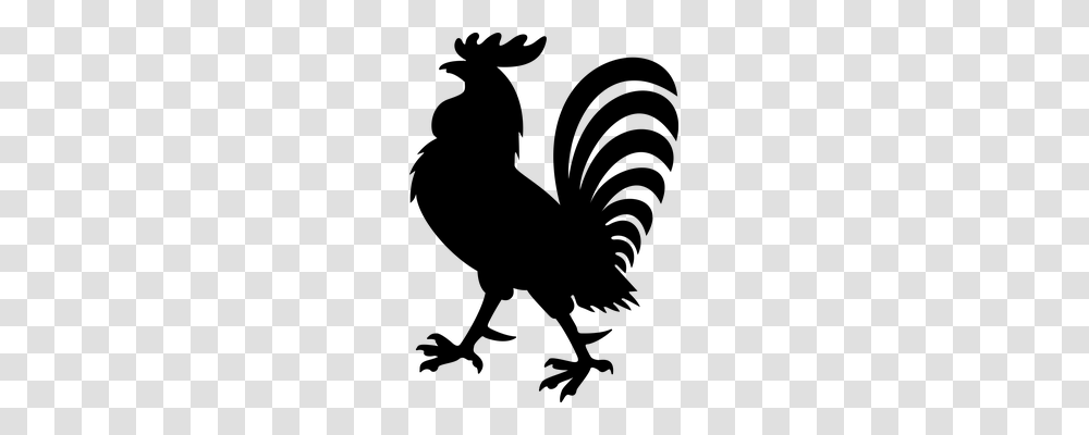 Rooster Animals, Gray, World Of Warcraft Transparent Png