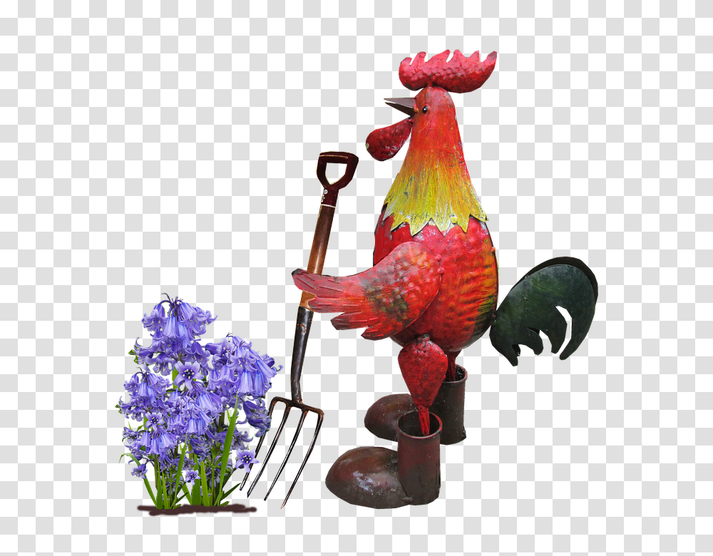 Rooster 960, Flower, Animal, Bird, Poultry Transparent Png