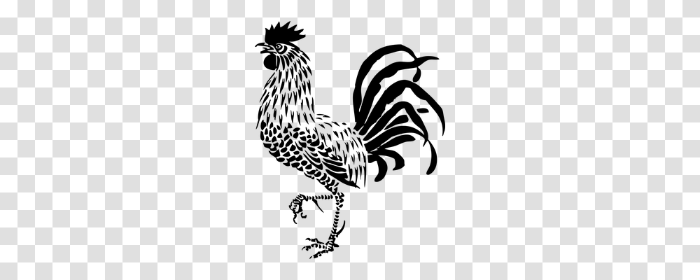 Rooster Animals, Gray, World Of Warcraft Transparent Png