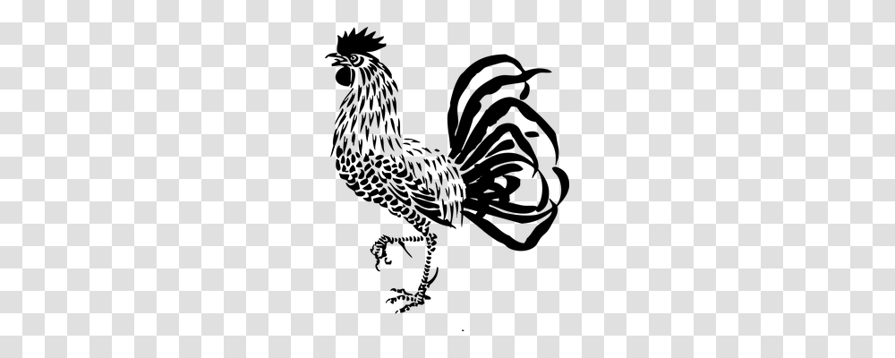 Rooster Animals, Gray, World Of Warcraft Transparent Png