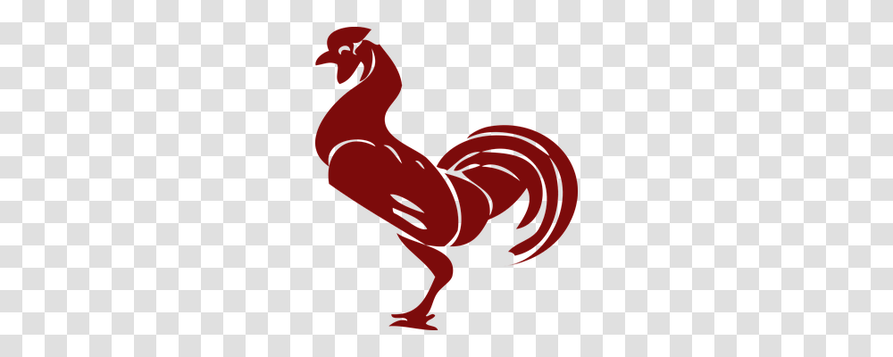 Rooster Animals, Crawdad, Seafood, Sea Life Transparent Png