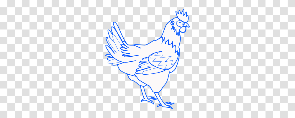 Rooster Animals, Bird, Poultry, Fowl Transparent Png