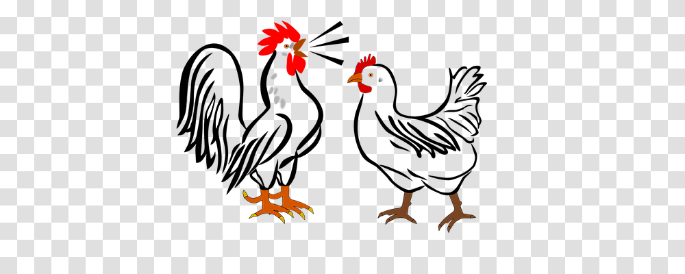 Rooster Animals, Bird, Fowl, Poultry Transparent Png