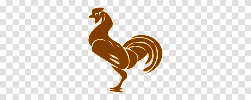 Rooster Animals, Bird, Fowl, Poultry Transparent Png