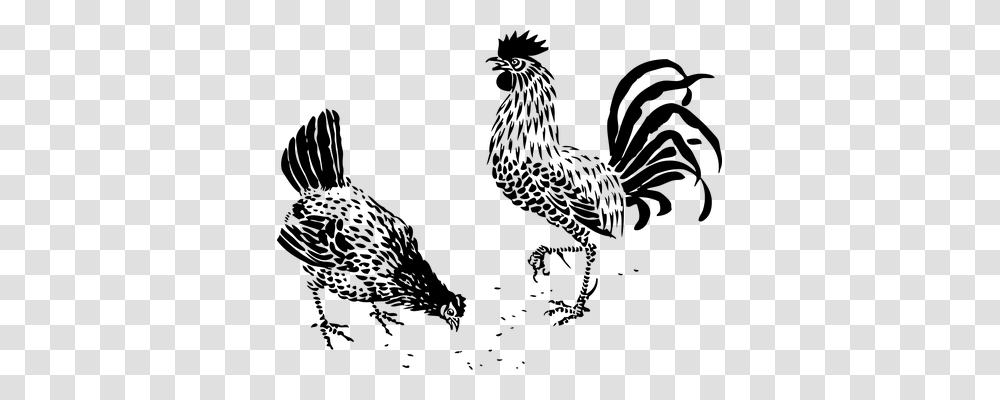 Rooster Animals, Gray, World Of Warcraft Transparent Png