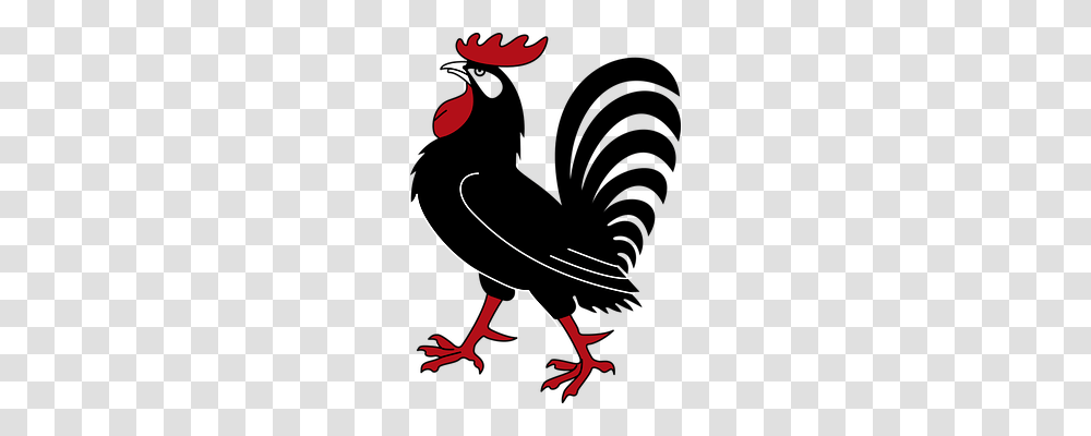 Rooster Animals Transparent Png