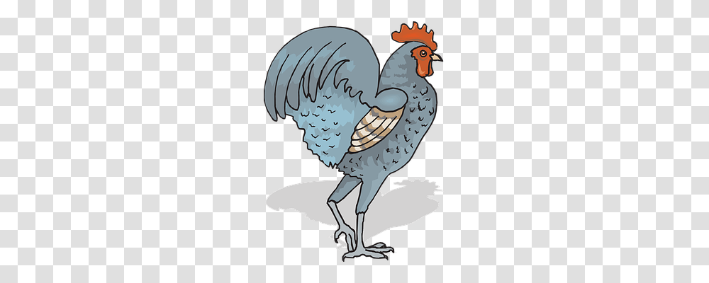 Rooster Animals, Bird, Word, Poster Transparent Png