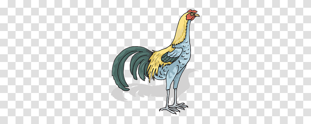 Rooster Animals, Bird, Fowl, Poultry Transparent Png