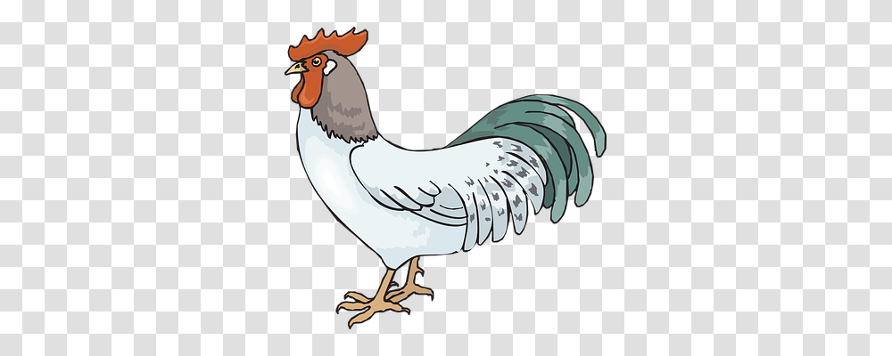 Rooster Animals, Fowl, Bird, Poultry Transparent Png