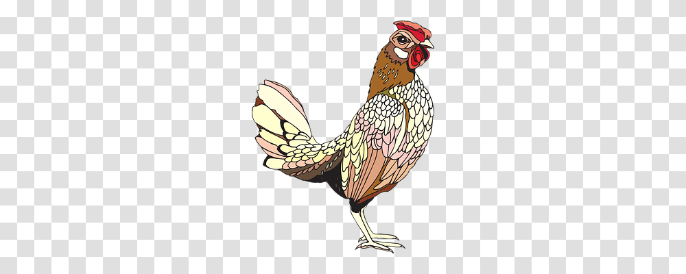 Rooster Animals, Poultry, Fowl, Bird Transparent Png