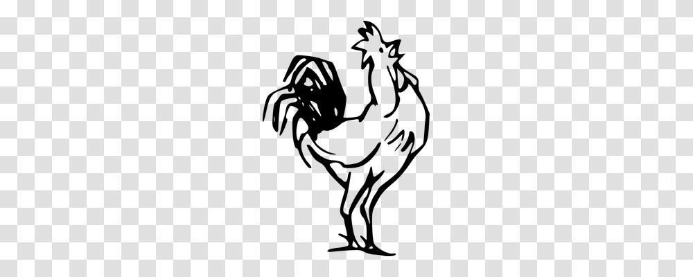 Rooster Nature, Gray, World Of Warcraft Transparent Png