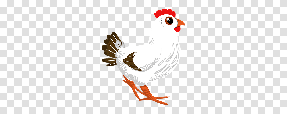 Rooster Animals, Bird, Poultry, Fowl Transparent Png