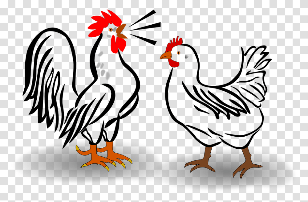 Rooster And Chicken Rooster And Chicken Clipart, Bird, Animal, Fish, Fire Transparent Png