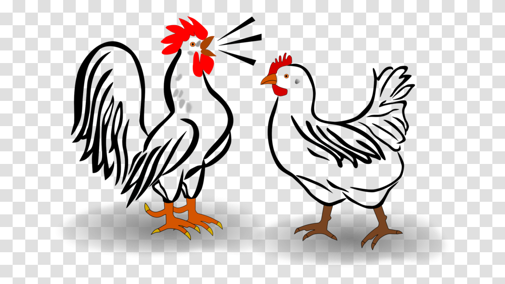 Rooster And Hen Cartoon, Bird, Animal, Fish, Fire Transparent Png