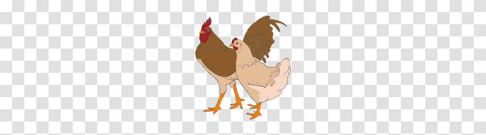 Rooster And Hen Clipart, Poultry, Fowl, Bird, Animal Transparent Png