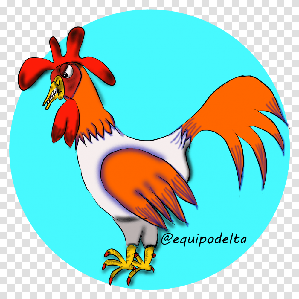 Rooster, Animal, Fowl, Bird, Chicken Transparent Png