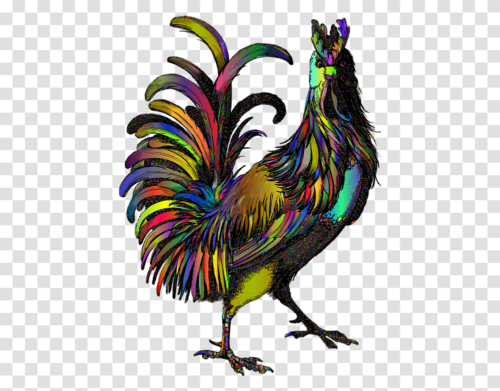 Rooster Animal Line Art Haan, Bird, Fowl, Poultry, Chicken Transparent Png