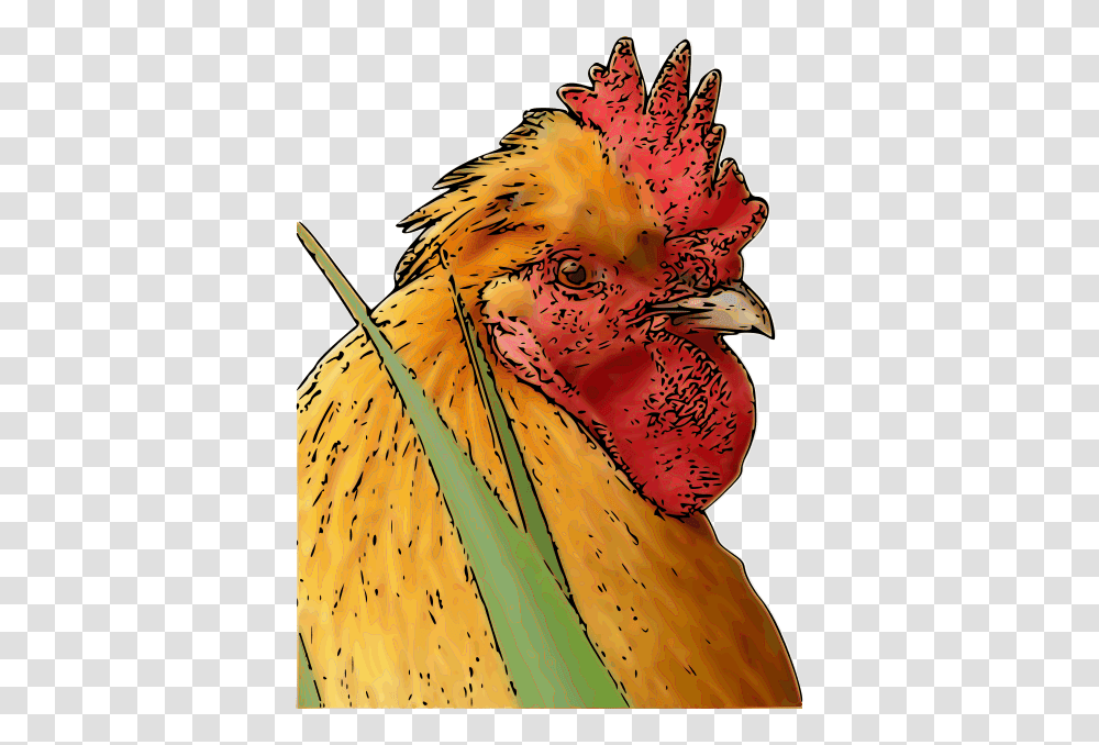 Rooster, Animals, Fowl, Bird, Poultry Transparent Png